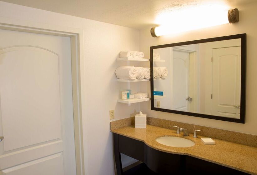 בית מלון כפרי Hampton Inn & Suites Albany Downtown