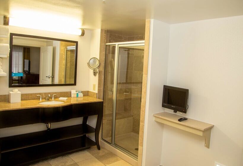 בית מלון כפרי Hampton Inn & Suites Albany Downtown