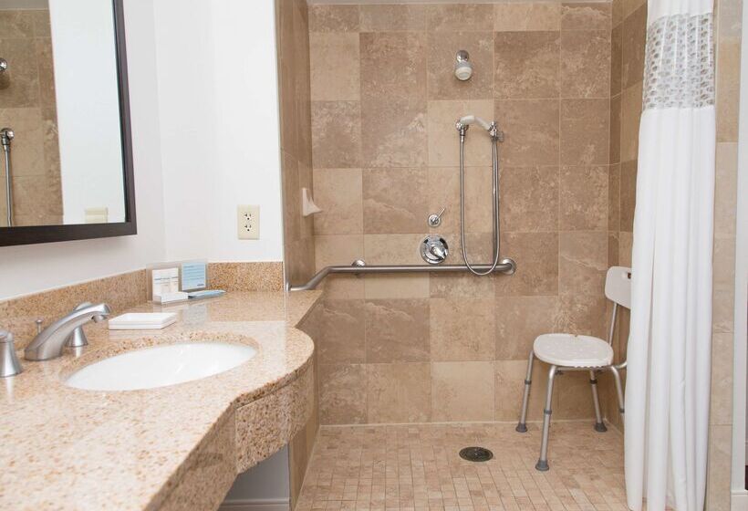 בית מלון כפרי Hampton Inn & Suites Albany Downtown