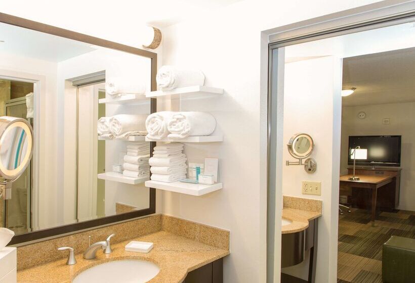 בית מלון כפרי Hampton Inn & Suites Albany Downtown