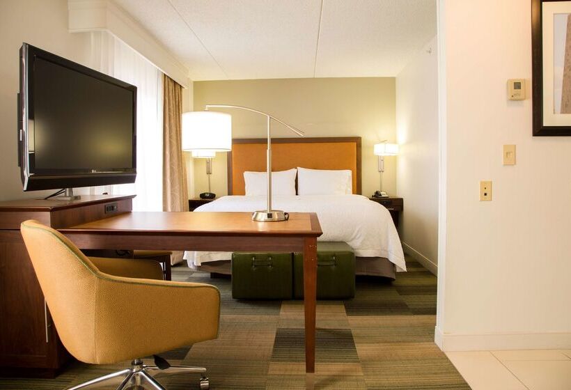 בית מלון כפרי Hampton Inn & Suites Albany Downtown