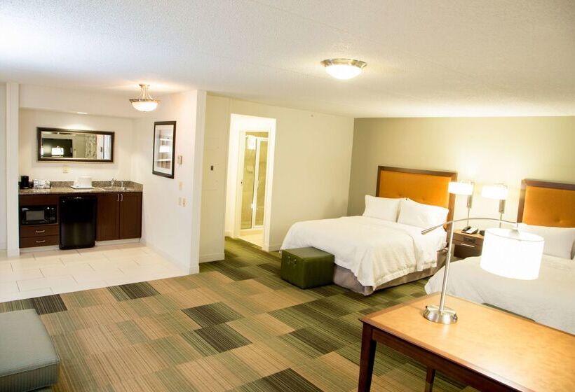 בית מלון כפרי Hampton Inn & Suites Albany Downtown