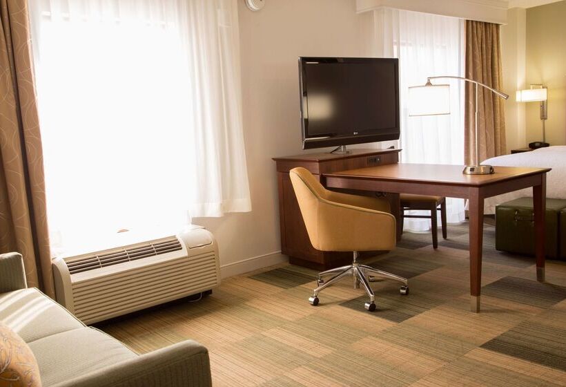 בית מלון כפרי Hampton Inn & Suites Albany Downtown