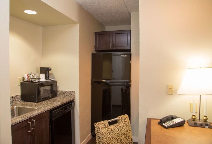 בית מלון כפרי Hampton Inn & Suites Albany Downtown