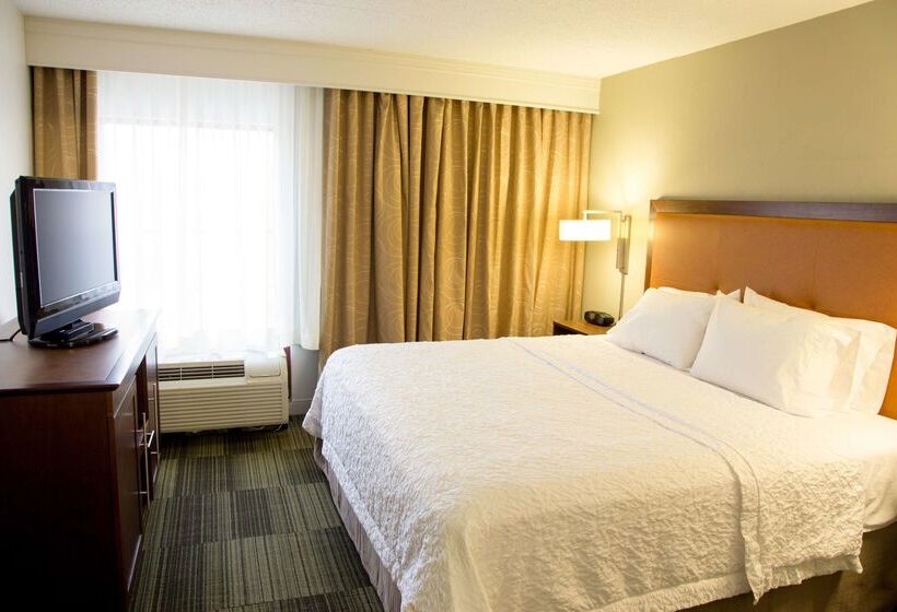 בית מלון כפרי Hampton Inn & Suites Albany Downtown