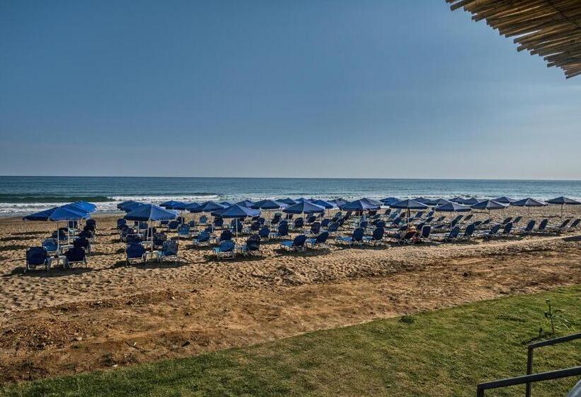 酒店 Happy Days Beach