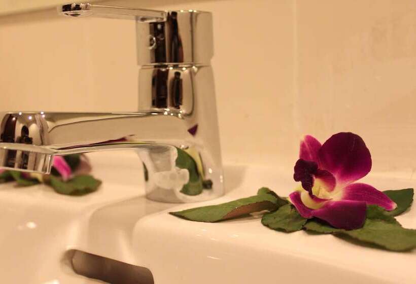 בית מלון כפרי Hemingway S