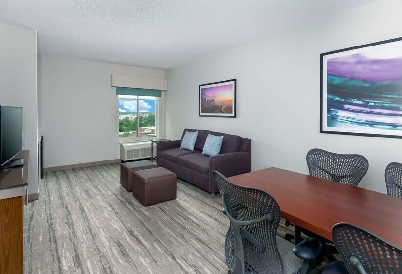 酒店 Hilton Garden Inn Charlotte Uptown