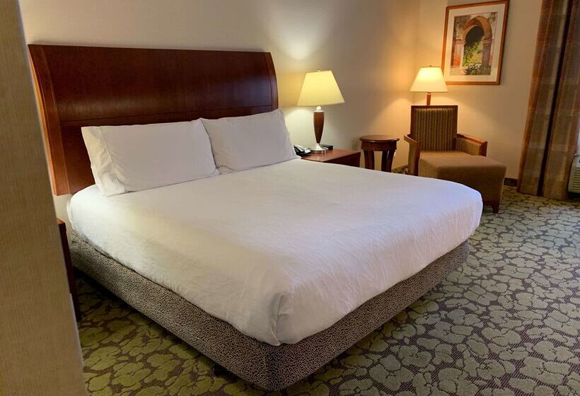فندق Hilton Garden Inn Colorado Springs Airport