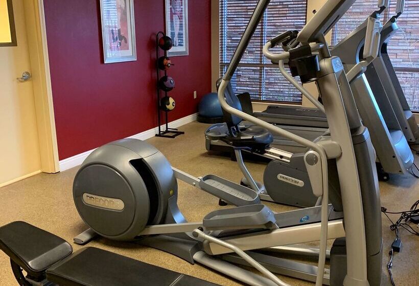 فندق Hilton Garden Inn Colorado Springs Airport