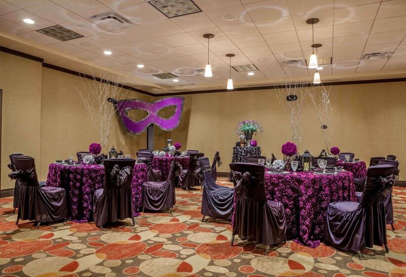 ホテル Hilton Garden Inn El Paso / University