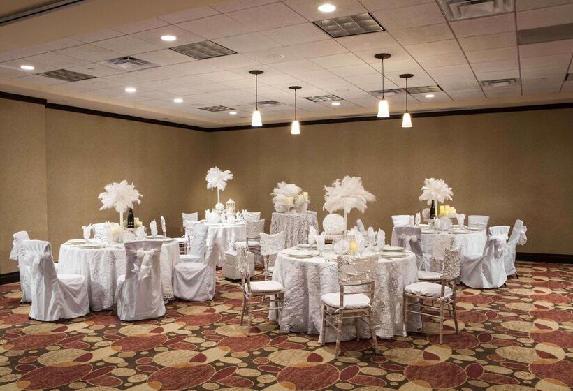 ホテル Hilton Garden Inn El Paso / University