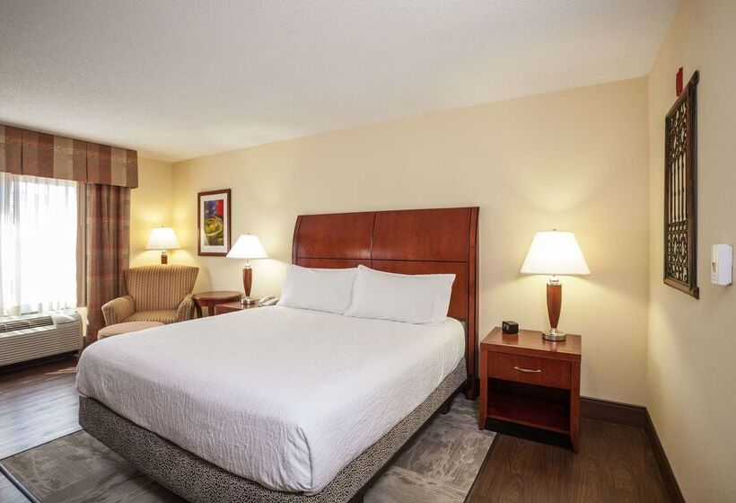 ホテル Hilton Garden Inn El Paso / University