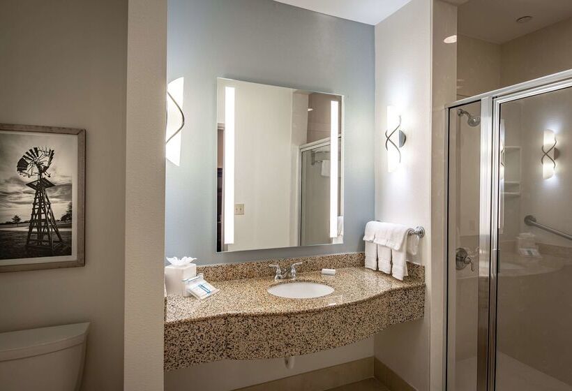 בית מלון כפרי Hilton Garden Inn Granbury