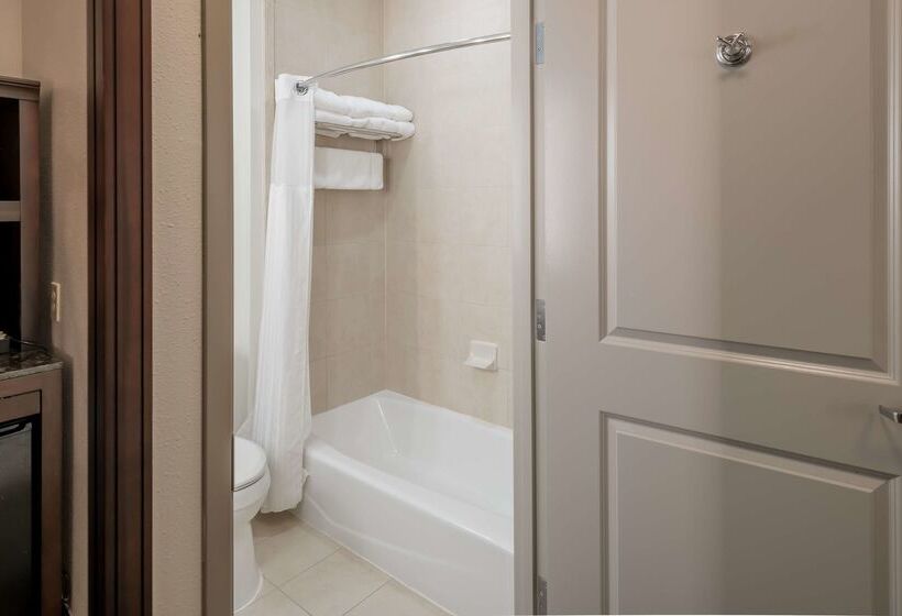 בית מלון כפרי Hilton Garden Inn Granbury