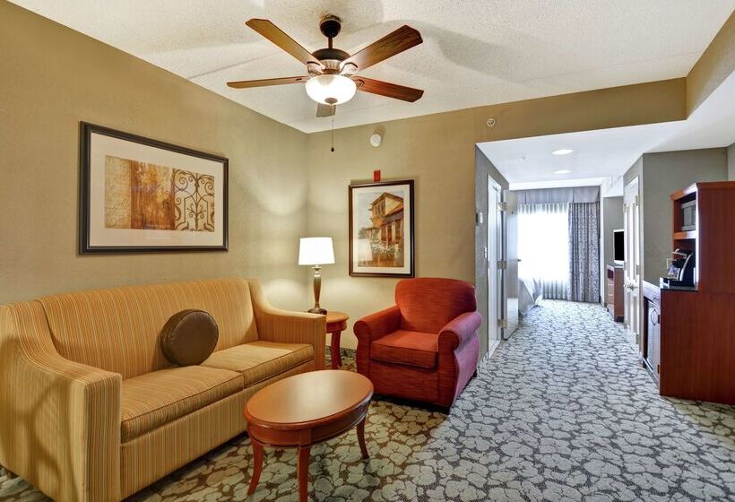 酒店 Hilton Garden Inn Hattiesburg
