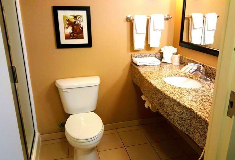 ホテル Hilton Garden Inn Lexington Georgetown