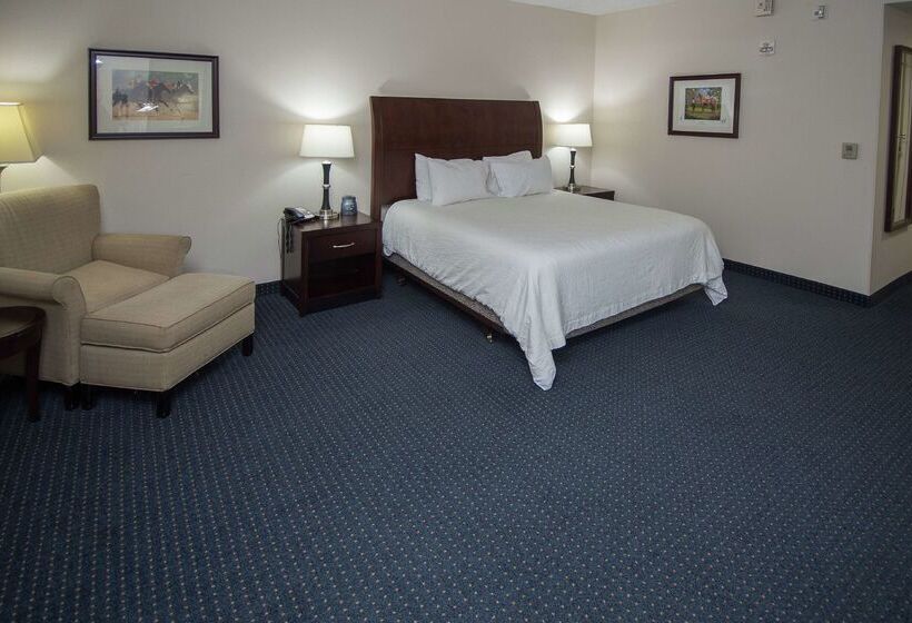 ホテル Hilton Garden Inn Lexington Georgetown
