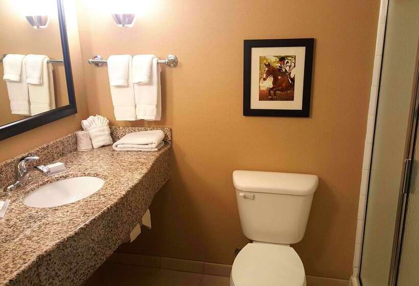 ホテル Hilton Garden Inn Lexington Georgetown