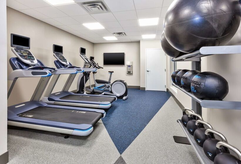 فندق Hilton Garden Inn Minneapolis   Maple Grove