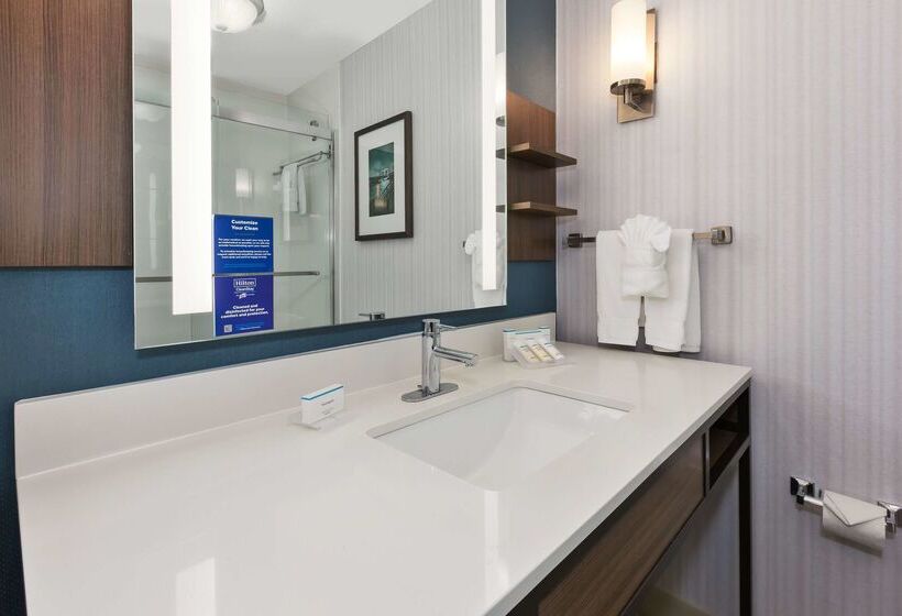 ホテル Hilton Garden Inn Minneapolis   Maple Grove