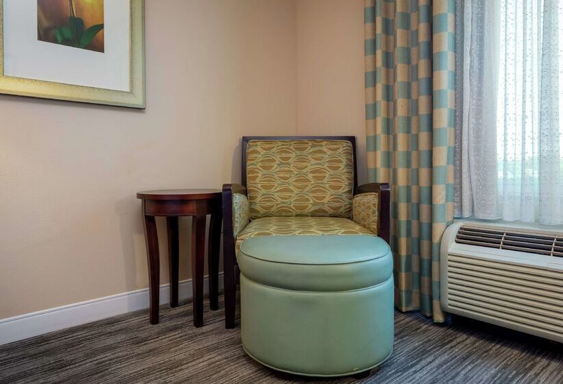 ホテル Hilton Garden Inn Mobile West I 65/airport Blvd