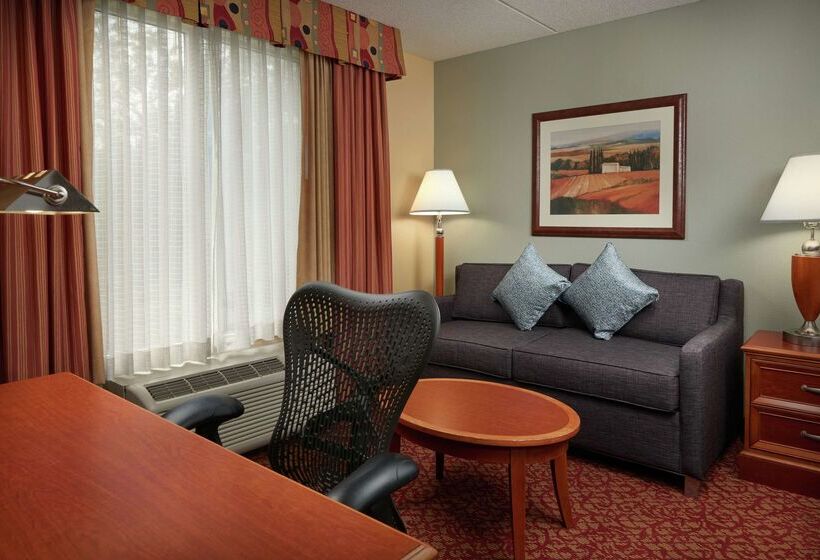 호텔 Hilton Garden Inn Newport News