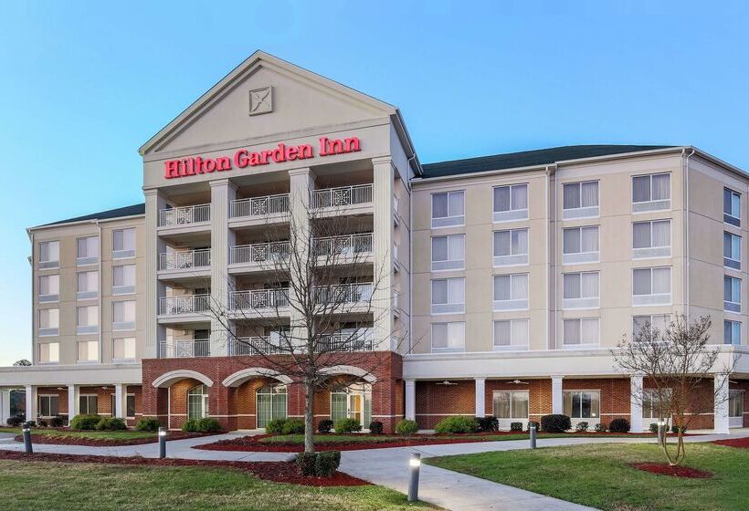 Отель Hilton Garden Inn Roanoke Rapids