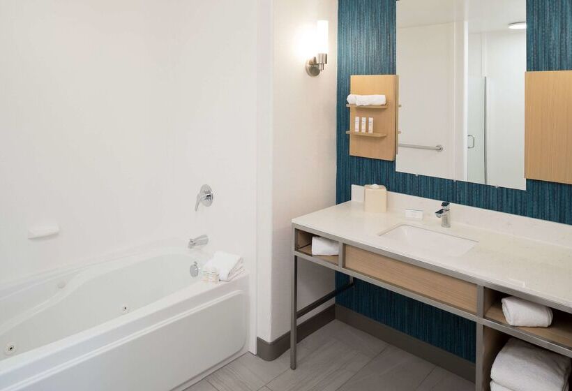 Отель Hilton Garden Inn Sioux City Riverfront