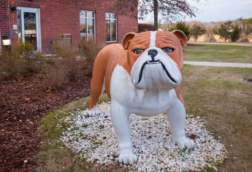 فندق Hilton Garden Inn Starkville