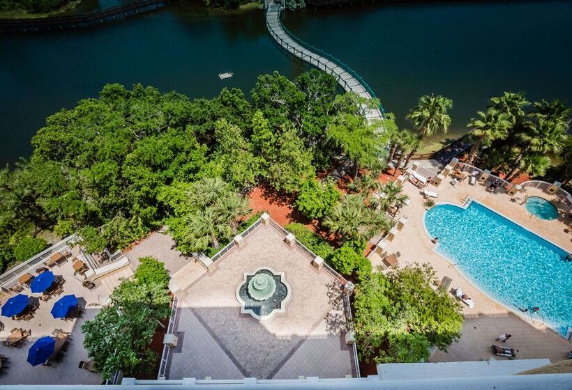 فندق Hilton St. Petersburg Carillon Park