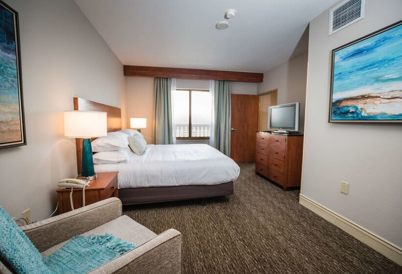 فندق Hilton St. Petersburg Carillon Park