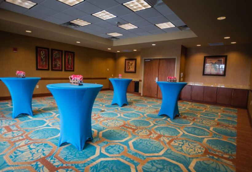 فندق Hilton St. Petersburg Carillon Park