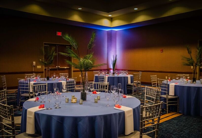 فندق Hilton St. Petersburg Carillon Park