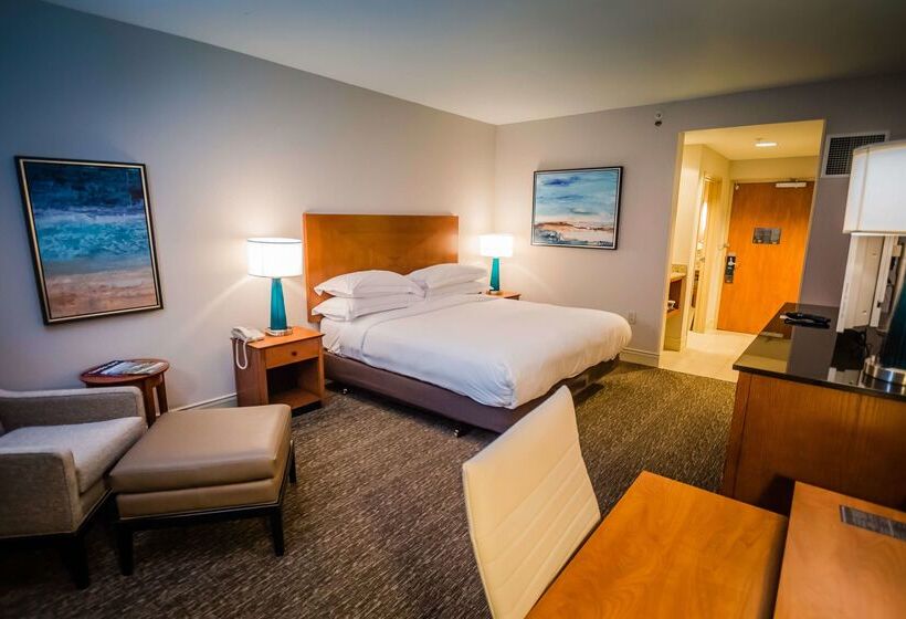 فندق Hilton St. Petersburg Carillon Park