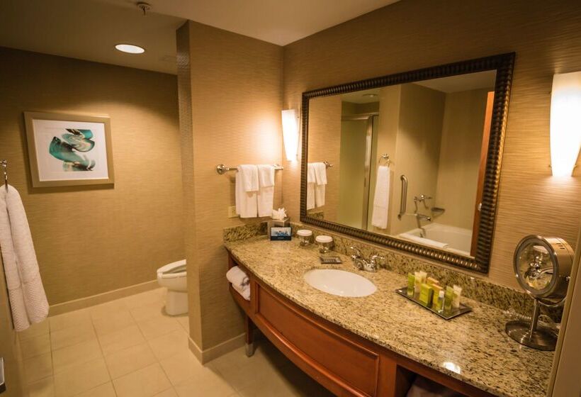 فندق Hilton St. Petersburg Carillon Park