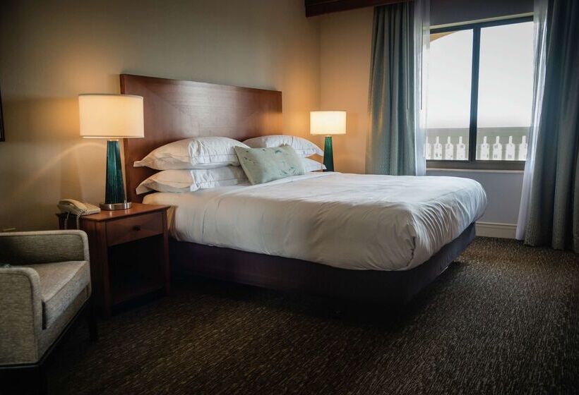 فندق Hilton St. Petersburg Carillon Park