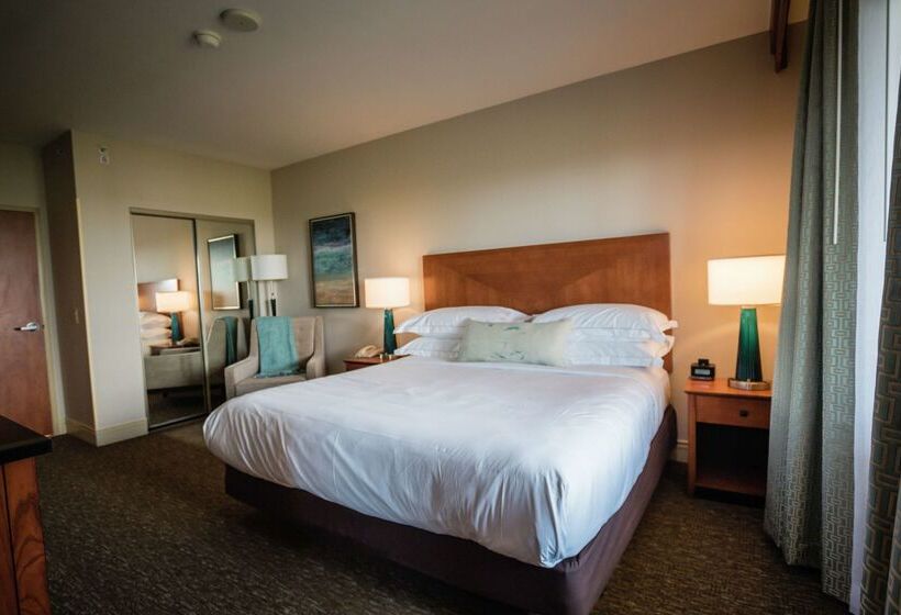 فندق Hilton St. Petersburg Carillon Park