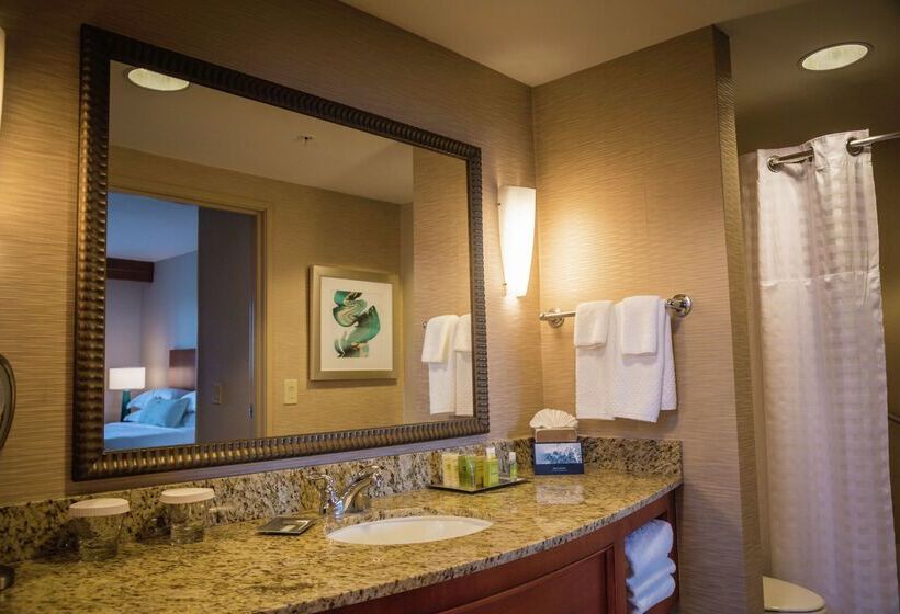 فندق Hilton St. Petersburg Carillon Park