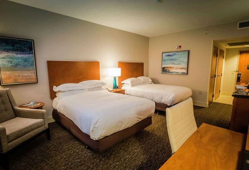 فندق Hilton St. Petersburg Carillon Park