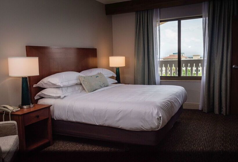 فندق Hilton St. Petersburg Carillon Park