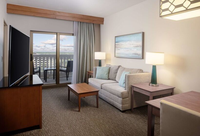 فندق Hilton St. Petersburg Carillon Park