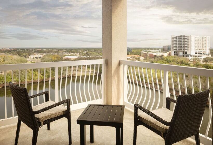 فندق Hilton St. Petersburg Carillon Park