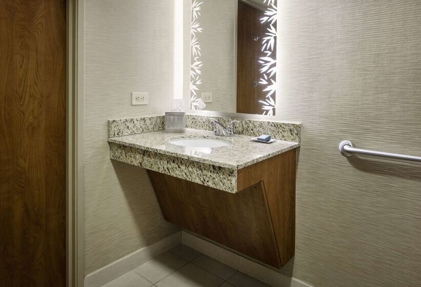 فندق Hilton St. Petersburg Carillon Park