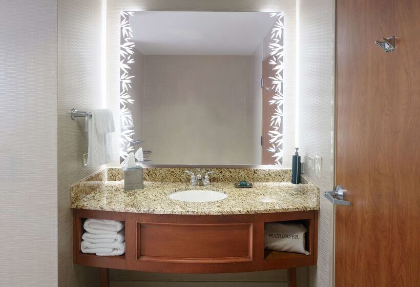 فندق Hilton St. Petersburg Carillon Park