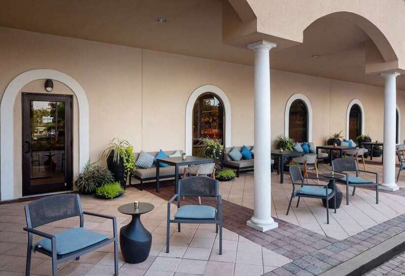 فندق Hilton St. Petersburg Carillon Park