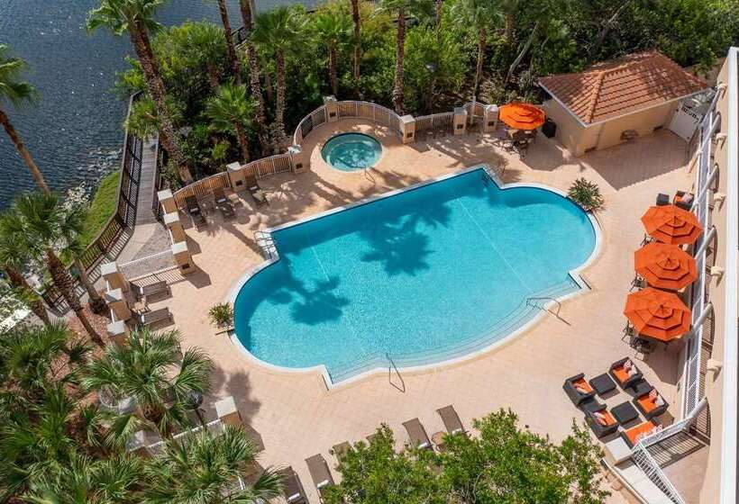 فندق Hilton St. Petersburg Carillon Park