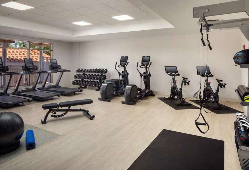 فندق Hilton St. Petersburg Carillon Park