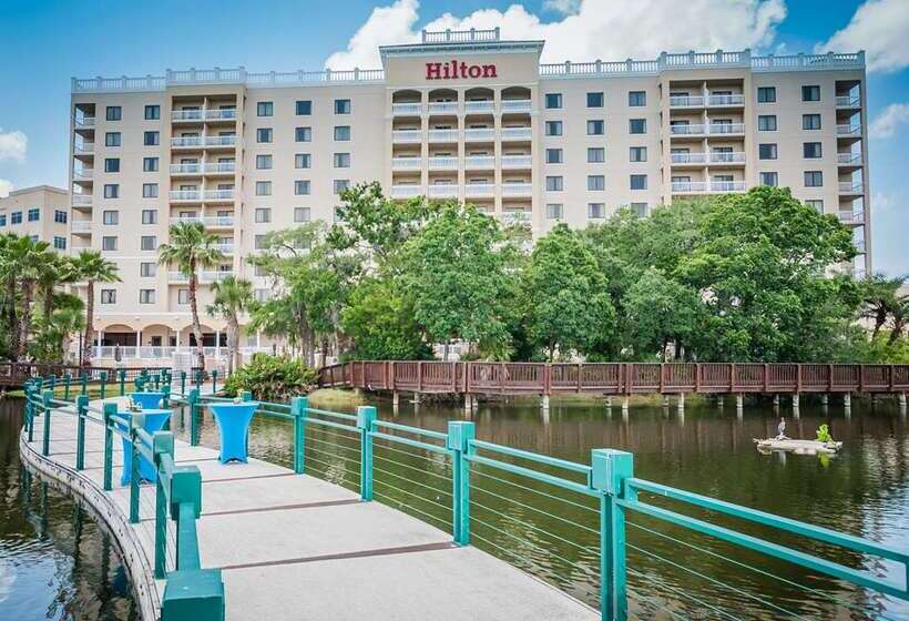 فندق Hilton St. Petersburg Carillon Park
