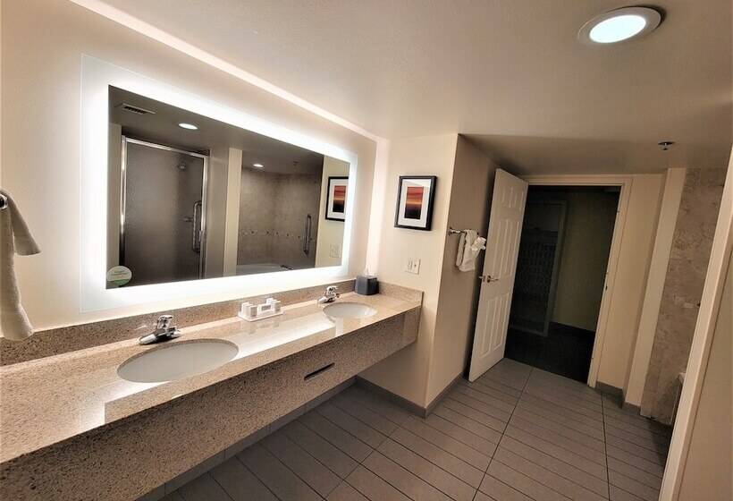 בית מלון כפרי Holiday Inn & Suites Ann Arbor Univ Michigan Area By Ihg